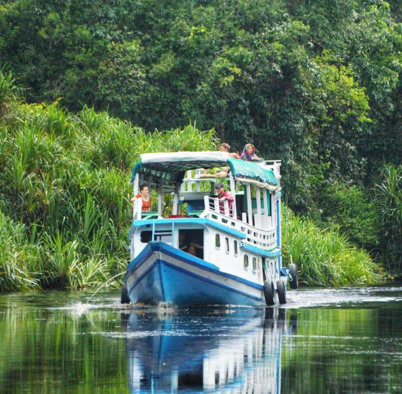 3d2n Rimba Lodge and Houseboat